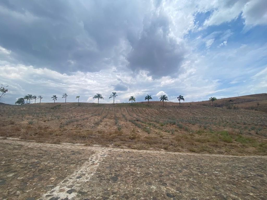 Santa Sofía, el Arenal, terrenos en venta Coto Ganaderos