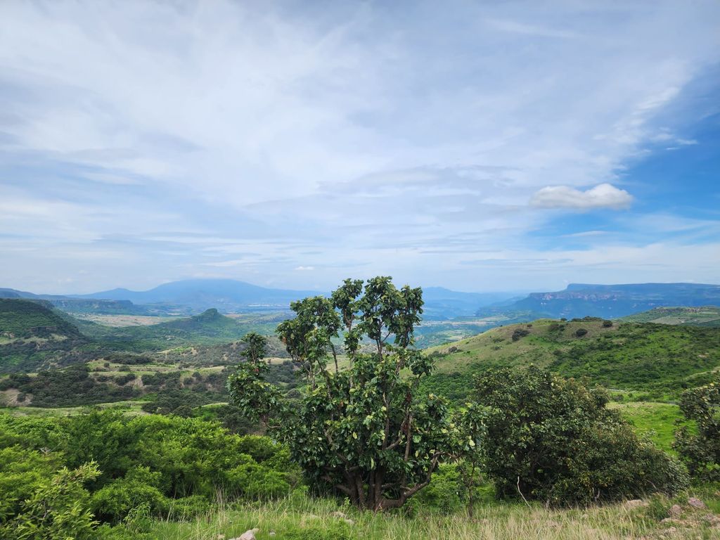 TERRENO EN VENTA COL. SANTA LUCIA ZAPOPAN, JAL.