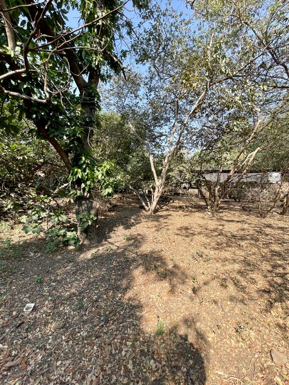 Terreno en Venta Periférico Sur, Adolf Horn.