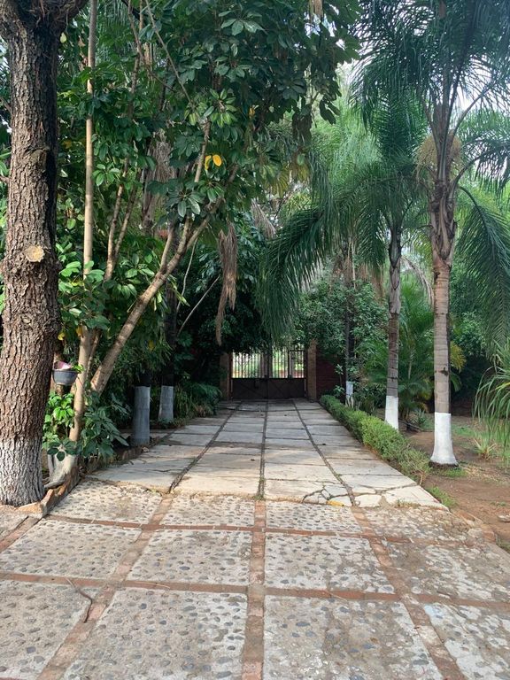 Imagen secundaria