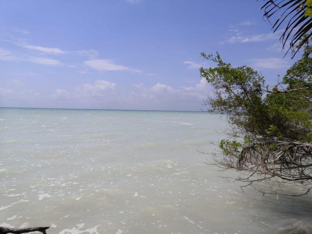 Terreno en Venta frente a playa Quintana Roo