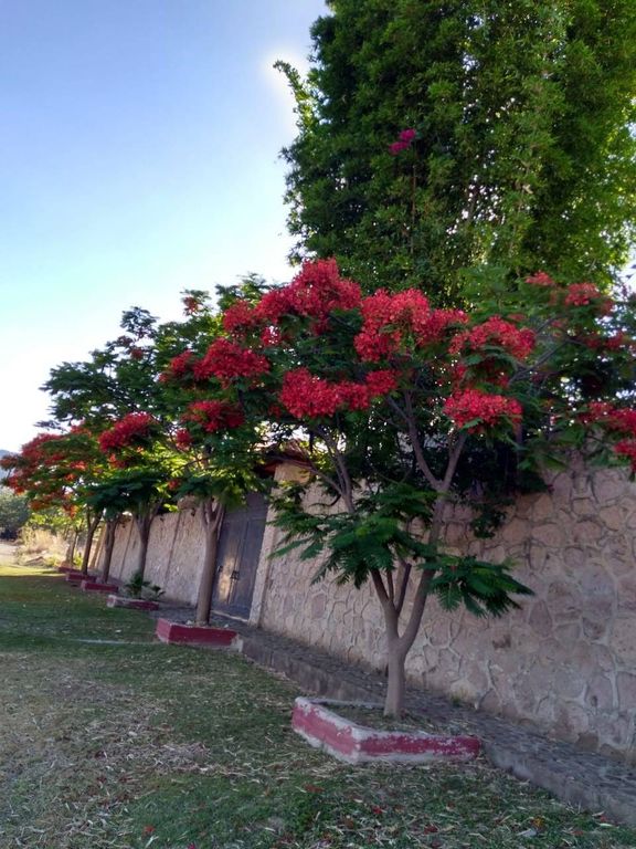 CASA DE CAMPO NUEVA EN VENTA, COL. MILPILLAS, ZAPOPAN, JAL.