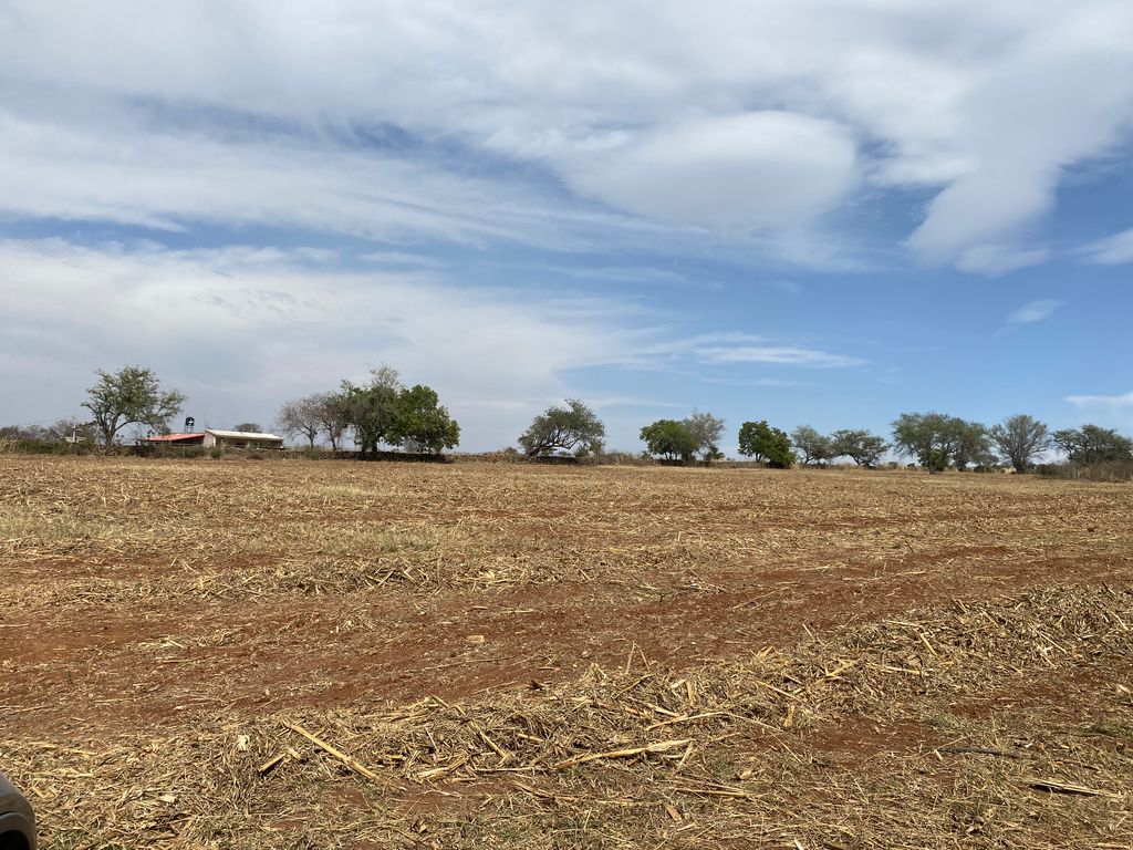 TERRENO