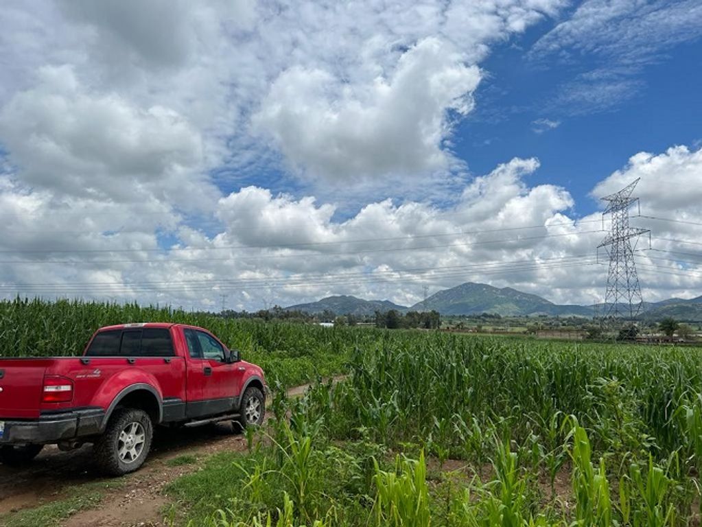 Renta Terreno / Lote Nextipac - Zapopan