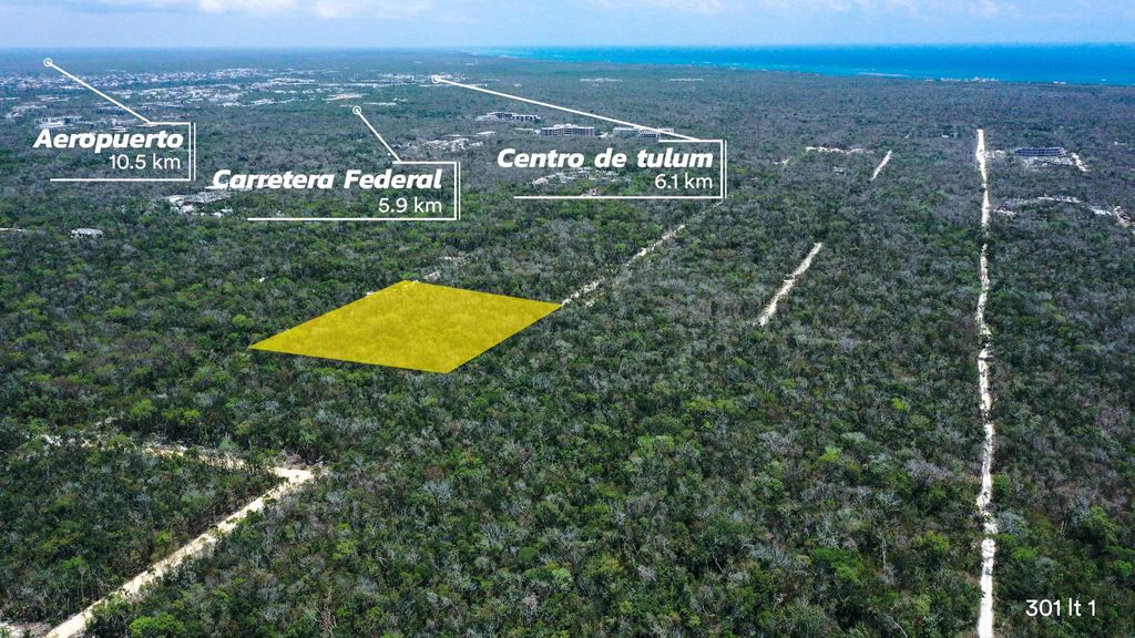 Tulum: Region 15 / Av. Zapote / 301 /- 10,000 m²  3