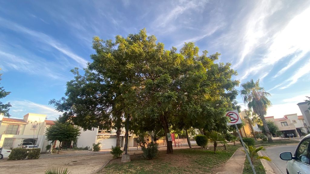 Imagen secundaria