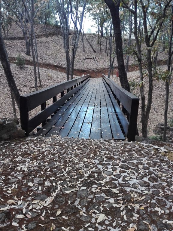 Terreno Campestre en venta Jalisco