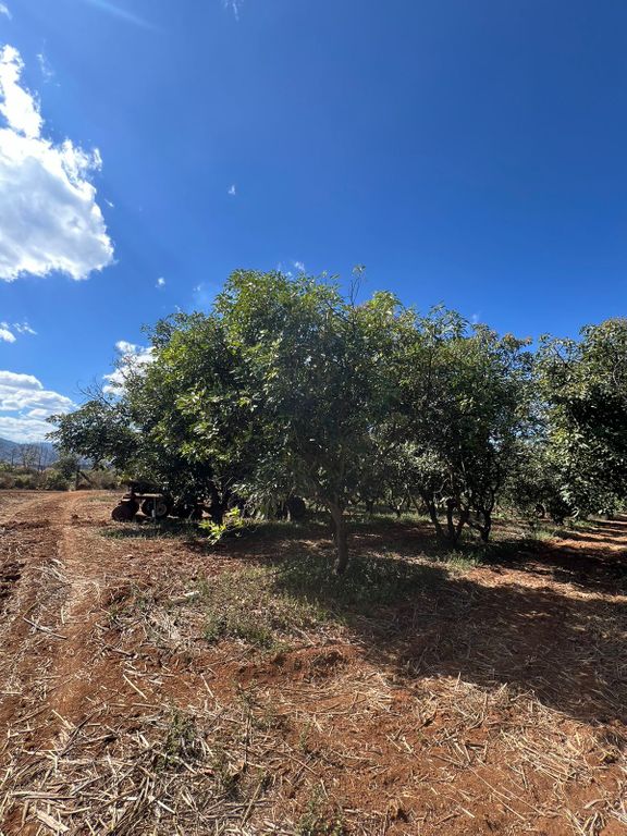 Terreno En Venta En San Juanito De Escobedo