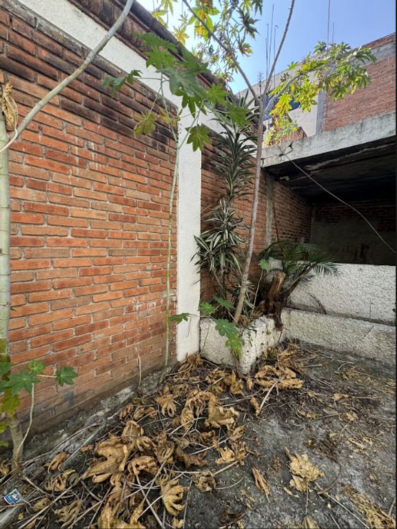 Imagen secundaria