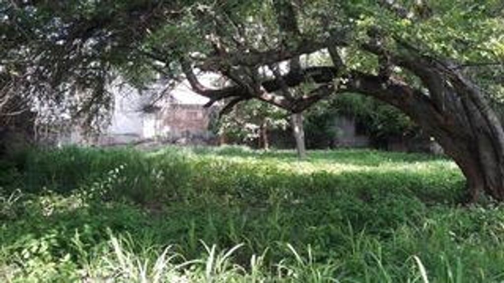 Terreno en Venta en El Centro de Colima