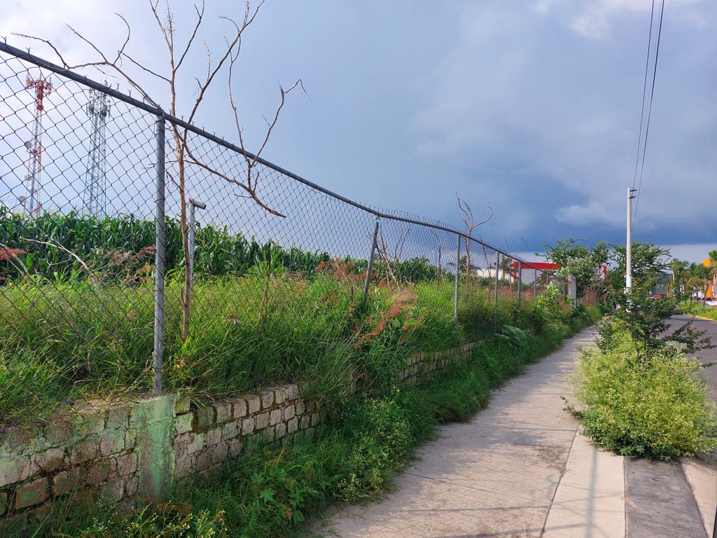 Se vende terreno frente a Campo Real